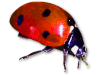Captcha image 2277