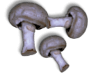 Captcha image 3693